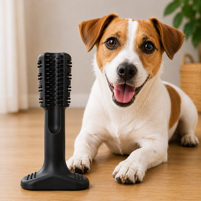 PawsSource Dog Toothbrush Black Medium Size - Fits Most Medium Breed Dogs